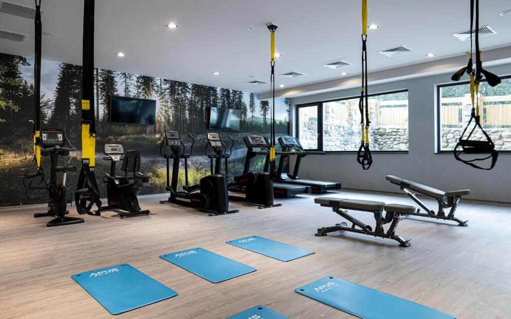 Newmor Case Study - Platinum Mountain Hotel