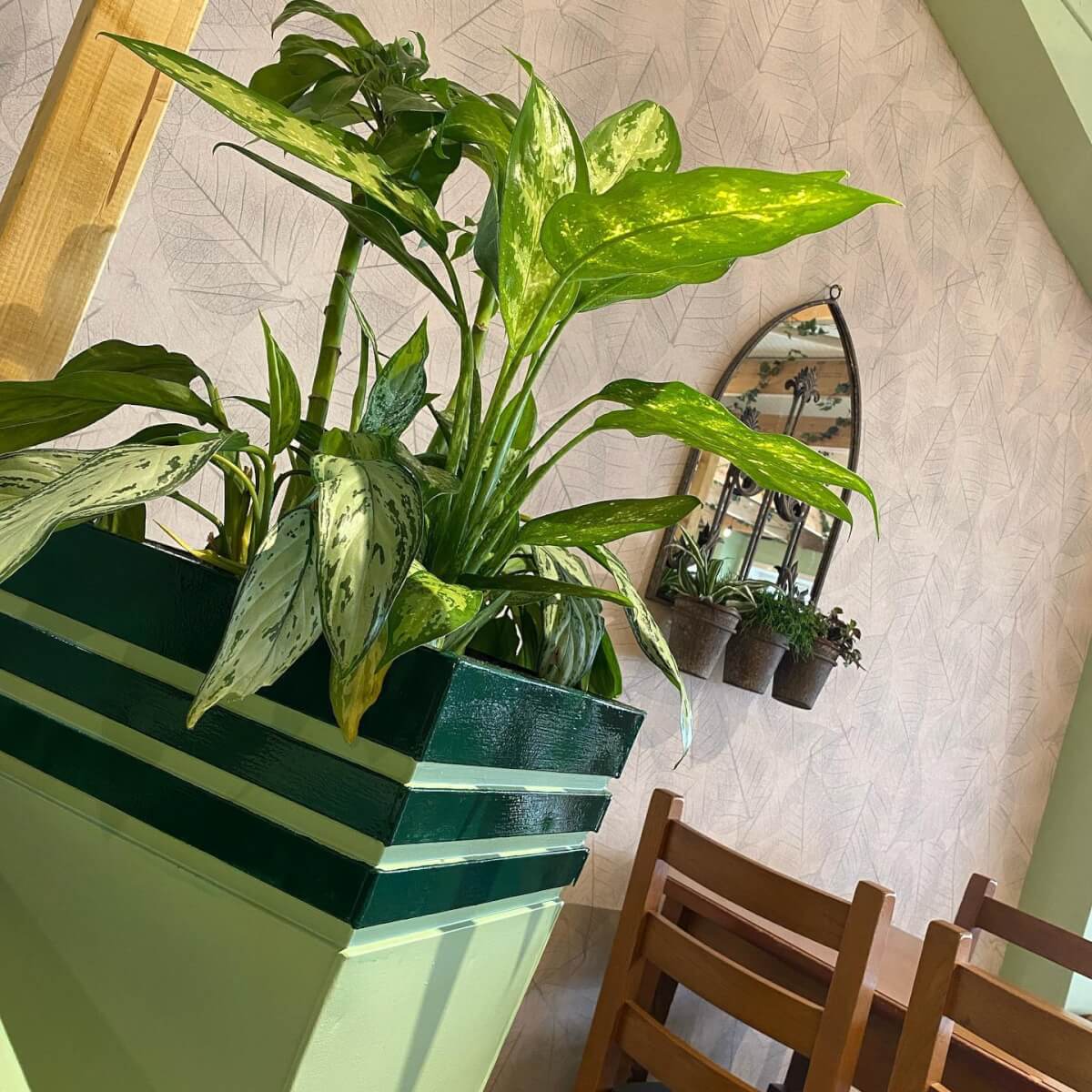 Leaves wallcovering featuring in the fresh new biophilic interiors at Cardwells Garden Centre in Scotland.