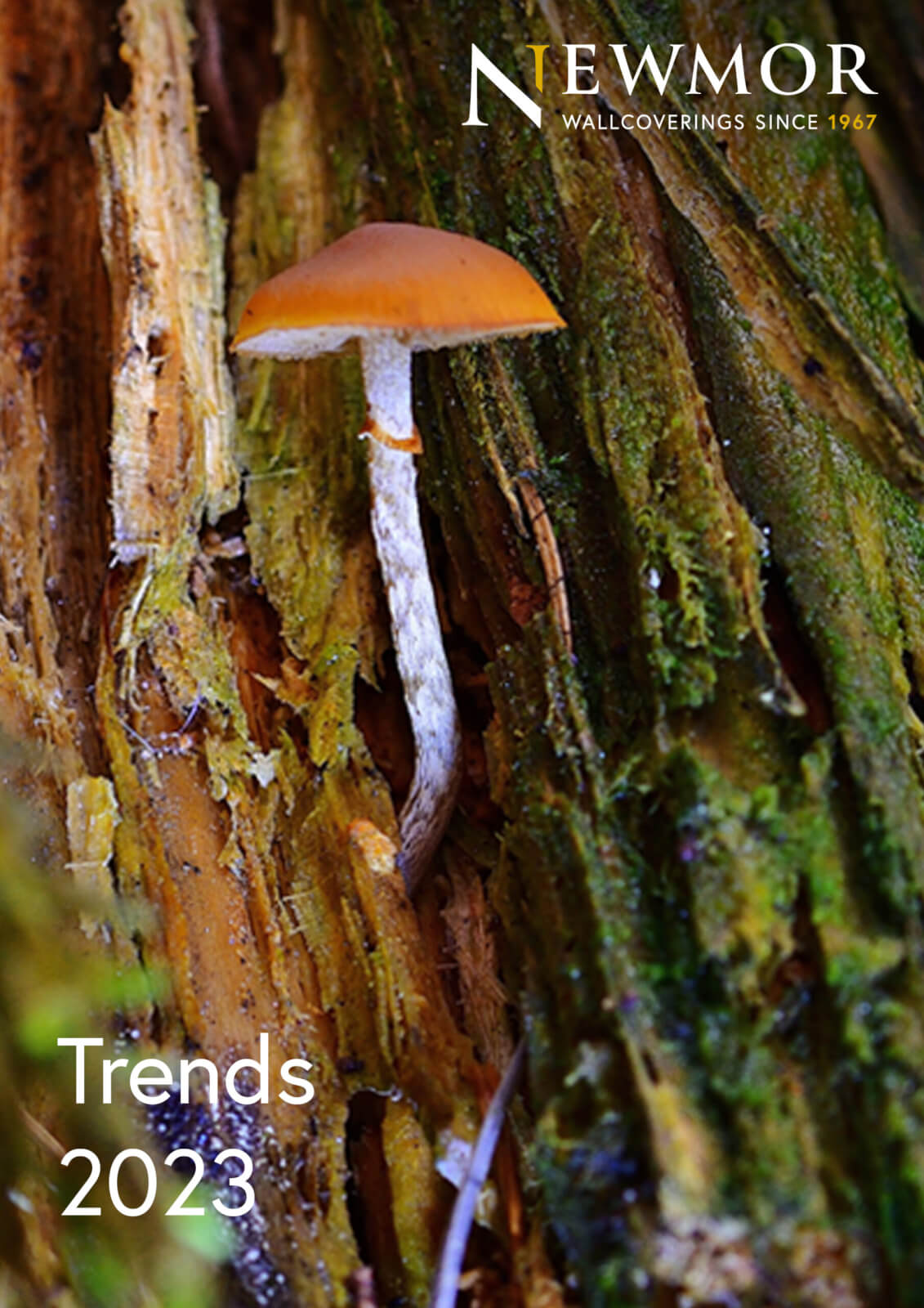 Newmor Trend Forecast 2023